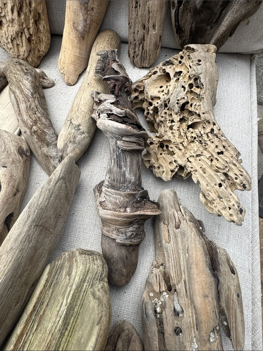 34 Pc (5lbs shipped) Box of beach Natural Driftwood Pieces for craft or decor